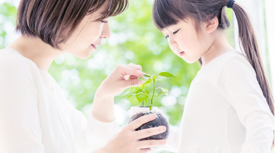 東京セキスイハイムの分譲地（一戸建て・土地）_家計にも地球にも優しい暮らし。